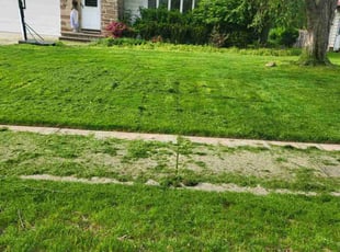 Davis S.'s Grass Cutting service result