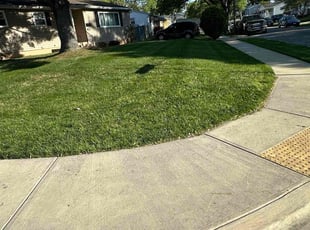 Joshua L.'s Grass Cutting service result