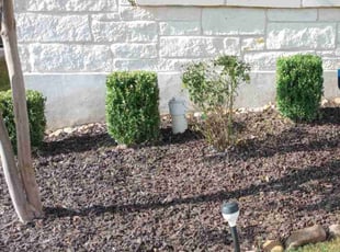 Bush Trimming by Vincent Vasquez for Phyllis B. in San Antonio, TX