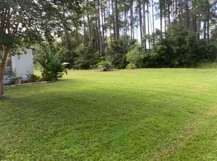 Beatrice M.'s Lawn Care service result