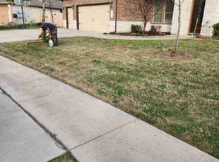 Cleanups by Rene Gabriel Ramirez for Ahmad A. in Pflugerville, TX