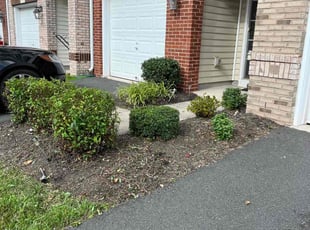 Bush Trimming by Alesandre Duarte for Jeremy P. in Ashburn, VA