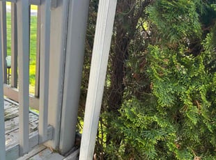 Bush Trimming by Dan Callaway for Floyd R. in Clinton Township, MI