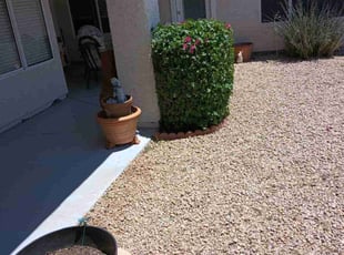 Bush Trimming by Juan Carlos Laurean Lozoya for Krystina D. in Phoenix, AZ