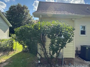 Libba R.'s Bush Trimming service result