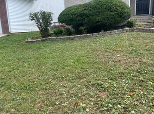 Weeding by Kevrek Frierson for Natalie G. in Murfreesboro, TN