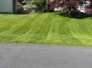 Calvin j.'s Lawn Maintenance service result