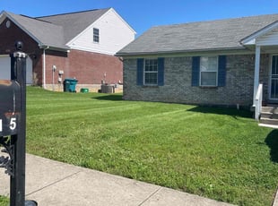 Michelle a.'s Lawn Care service result