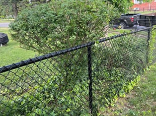 Bush Trimming by Dimas Lopez for Duke E. in Glen Burnie, MD