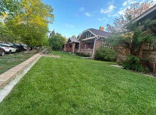 Charles F.'s Lawn Mowing service result