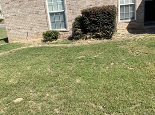 Bush Trimming by Jason Young for Clair N. in Benton, AR