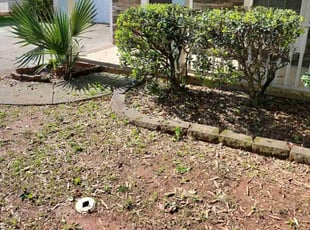 Bush Trimming by Eric Witherspoon for Brittany C. in Huntersville, NC