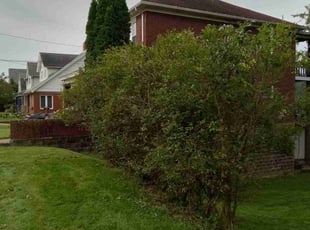 Bush Trimming by Jason Davis for Andrew C. in Trafford, PA