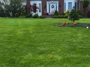 Nina H.'s Lawn Care service result