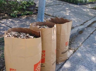 Leaf Removal by Alba Chacon Galdamez for Inieka N. in Pflugerville, TX