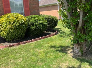 Bush Trimming by James Franks for T. in Memphis, TN