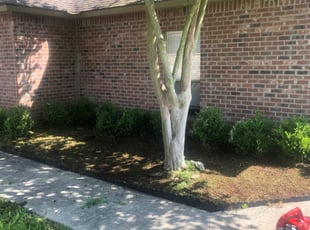 Cleanups by Johnnie Spears for Sam M. in Baton Rouge, LA