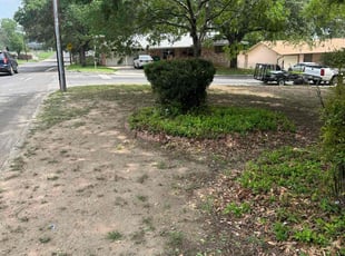 Bush Trimming by Lacy Dixon for Gwendolyn D. in San Antonio, TX