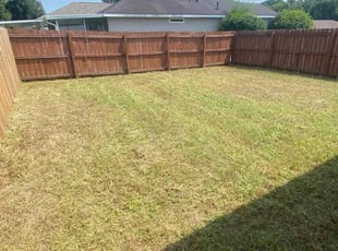 Cleanups by William Spear for Lauren D. in Pensacola, FL