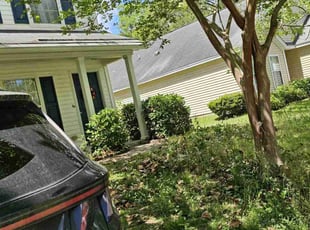Bush Trimming by Jack Mccampbell for Barney A. in North Charleston, SC