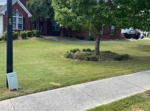 alex r.'s Lawn Mowing service result