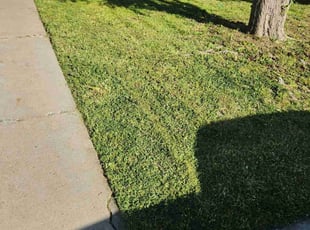 Cleanups by Juan Rodriguez for Letitia B. in Elk Grove, CA