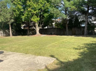 Joseph S.'s Lawn Mowing service result