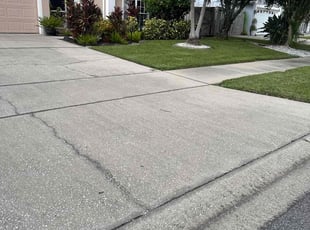 Tari H.'s Lawn Service service result