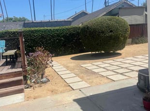 Bush Trimming by William Mendoza for Ed L. in Los Angeles, CA