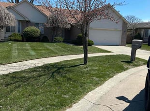 Ziaur C.'s Lawn Service service result