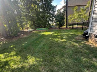 Nomena B.'s Yard Cutting service result