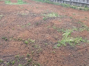 Janice D.'s Landscaping service result
