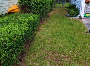 Bush Trimming by Frank Furia for Cindy B. in West Palm Beach, FL