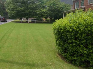 Deana G.'s Lawn Maintenance service result