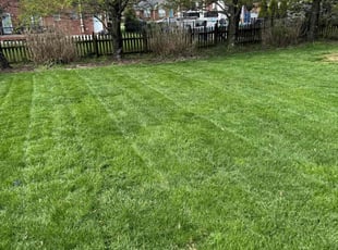 Alison S.'s Lawn Maintenance service result