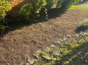 Weeding by Jeremy Partaine for Julius B. in Memphis, TN