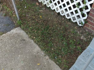 Leaf Removal by Tyrone Wilkins for Frank R. in Capitol Heights, MD