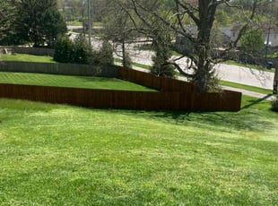 Michael L.'s Grass Cutting service result