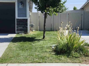 Landon B.'s Lawn Care service result
