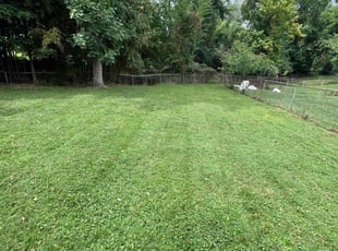 Ava S.'s Lawn Service service result