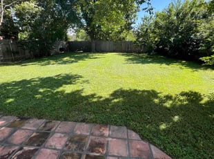 Taffani C.'s Lawn Care service result
