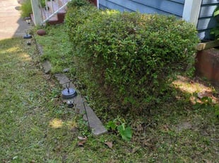 Bush Trimming by Steven Baskin for April E. in Irmo, SC