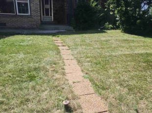 Cassaundra R.'s Yard Cutting service result