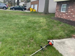 Leaf Removal by Caitlin Benitez for John S. in Glen Burnie, MD