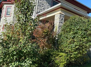 Bush Trimming by Michael Scime for Clifton C. in Drexel Hill, PA