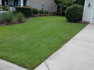 Tabitha B.'s Grass Cutting service result