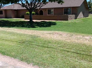 Cindy B.'s Lawn Mowing Service service result