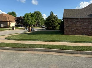 Sonia A.'s Lawn Maintenance service result