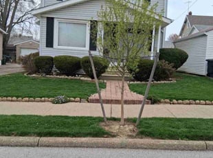 Edward B.'s Lawn Service service result