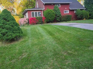 Chrisna c.'s Lawn Mowing service result
